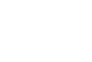 PPID UNS